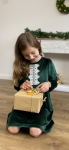 Vestido de menina, Vestido Maya, elegância infantil, vestido de veludo, vestido verde, moda para meninas