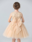 vestido de menina, vestido de cerimónia, vestido infantil, vestido champanhe, vestido com renda, vestido com lantejoulas, vestido elegante para meninas, roupa infantil para festas, vestido para casamentos, vestido para aniversários