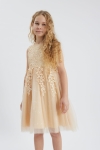 vestido de menina, vestido de cerimónia, vestido infantil, vestido champanhe, vestido com renda, vestido com lantejoulas, vestido elegante para meninas, roupa infantil para festas, vestido para casamentos, vestido para aniversários