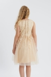 vestido de menina, vestido de cerimónia, vestido infantil, vestido champanhe, vestido com renda, vestido com lantejoulas, vestido elegante para meninas, roupa infantil para festas, vestido para casamentos, vestido para aniversários
