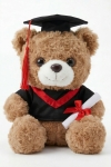 ursinho de graduação, presente de formatura, lembrança académica, peluche de formatura, prenda para final de curso, ursinho com diploma, formatura infantil, presente para estudante