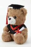 ursinho de graduação, presente de formatura, lembrança académica, peluche de formatura, prenda para final de curso, ursinho com diploma, formatura infantil, presente para estudante