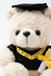 ursinho de graduação, peluche finalista bege, urso formatura com toga, lembrança fim de estudos, presente de finalista, recordação académica menina
