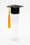 tubo para diploma preto, porta-diplomas finalista, conjunto 6 tubos graduação, tubo guloseimas festa finalistas, mini capelo diploma, acessório de graduação